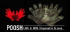 banner3